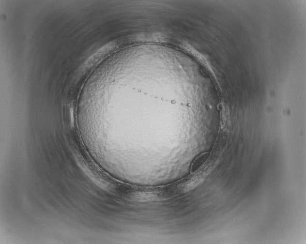 X0000081270061200701251613