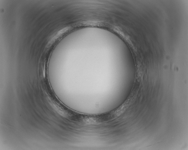 X0000081270062200701251613
