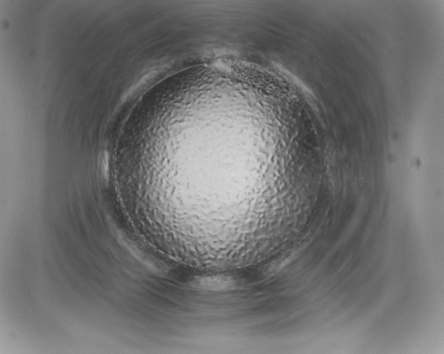 X0000081270067200701251613