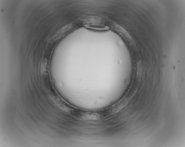 X0000081270073200701251613
