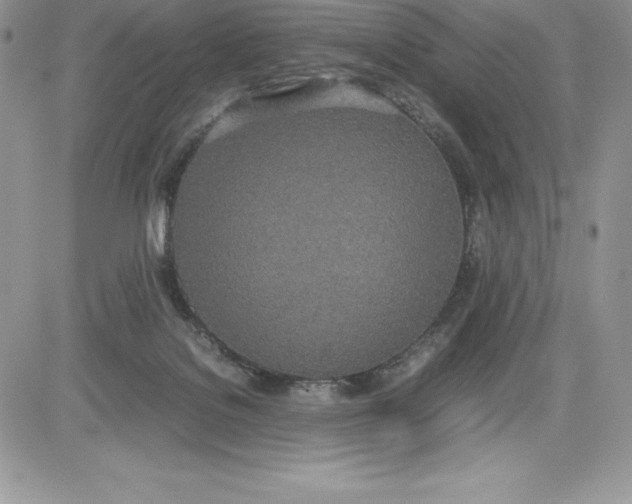 X0000081270076200701251613