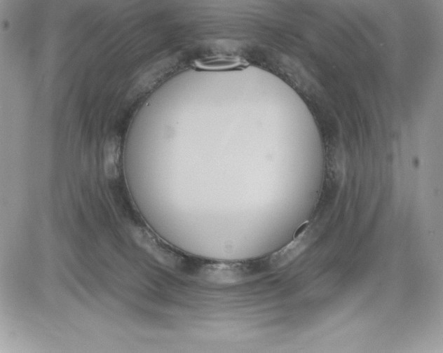 X0000081270082200701251613