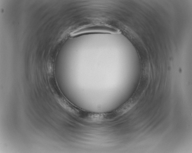 X0000081270084200701251613