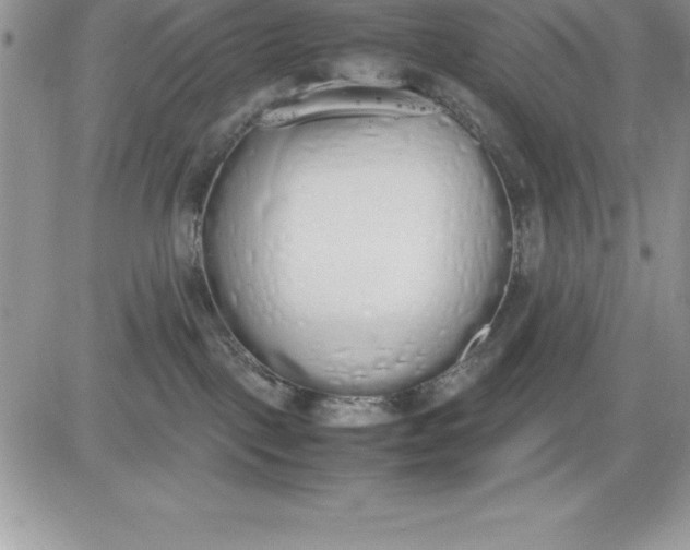X0000081270093200701251613