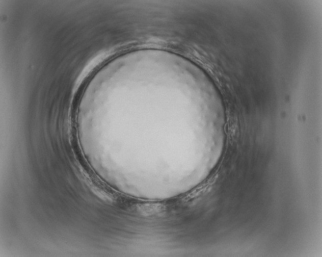 X0000081270102200701251613