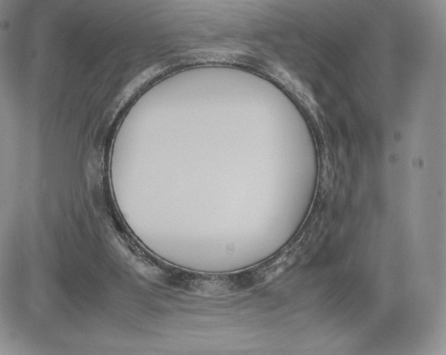 X0000081270107200701251613