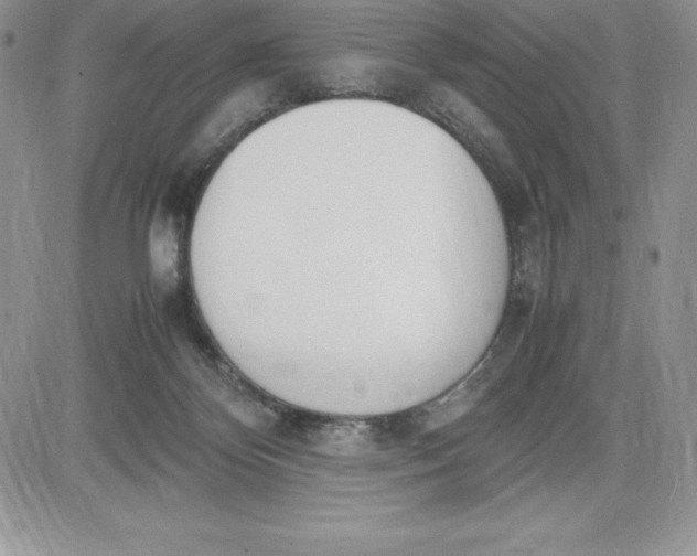 X0000081270124200701251612