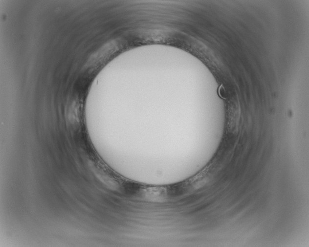 X0000081270126200701251612