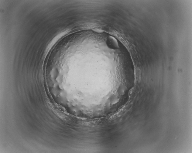 X0000081270147200701251611