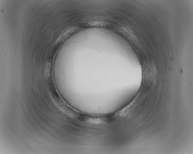 X0000081270171200701251612