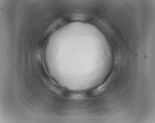X0000081270175200701251612