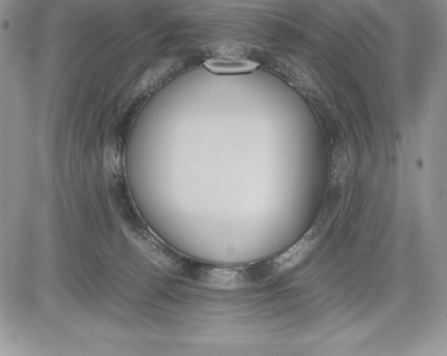 X0000081270176200701251612