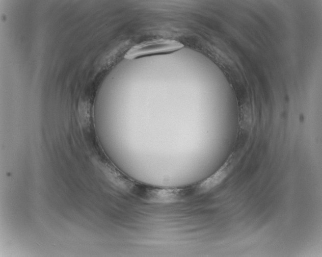 X0000081270184200701251612