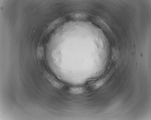 X0000081270189200701251612