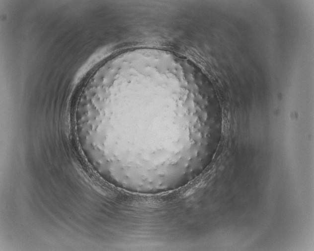 X0000081270198200701251611