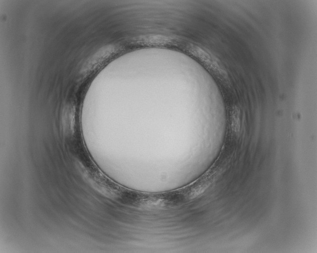 X0000081270206200701251611