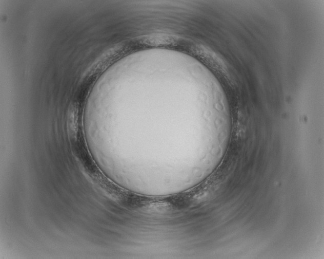 X0000081270210200701251611