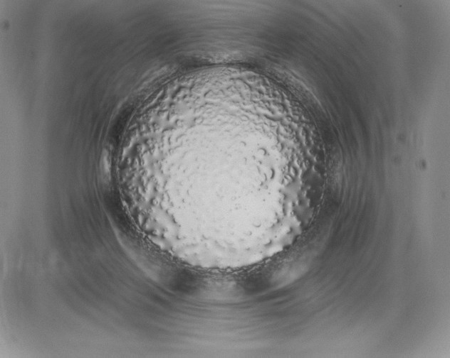 X0000081270214200701251611