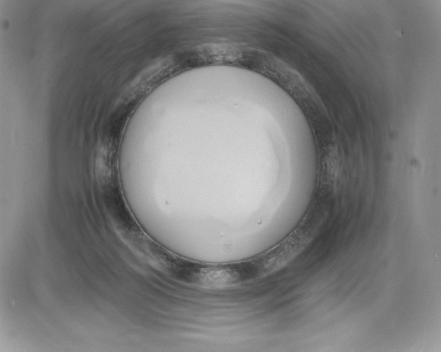 X0000081270218200701251611