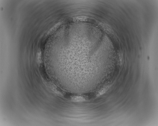 X0000081270224200701251611