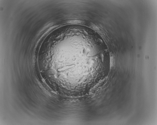 X0000081270243200701251610