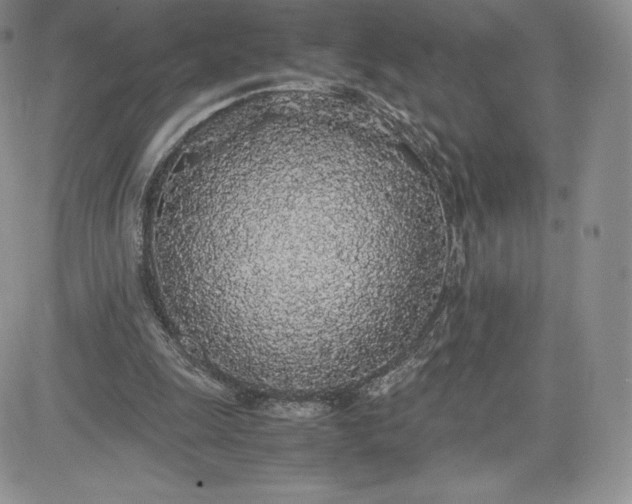 X0000081270247200701251610