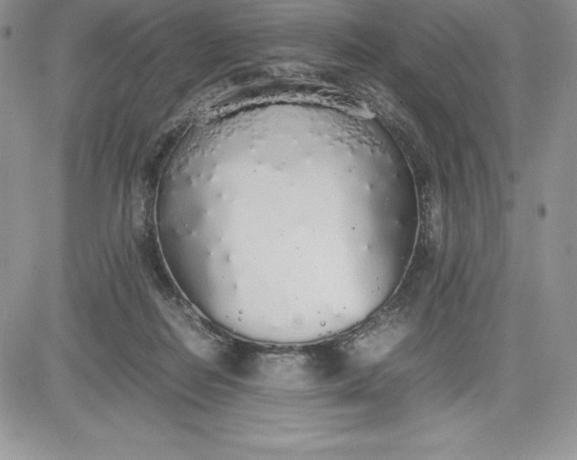X0000081270266200701251610