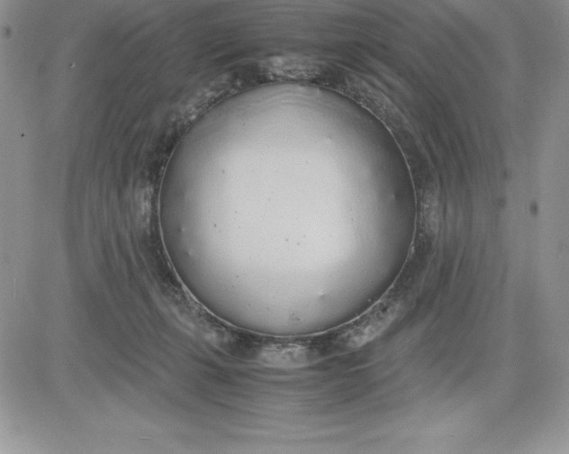 X0000081270271200701251610