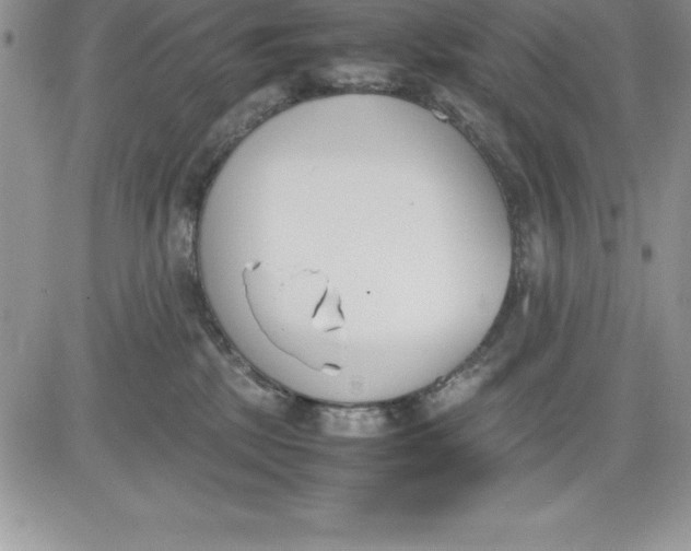 X0000081270281200701251610