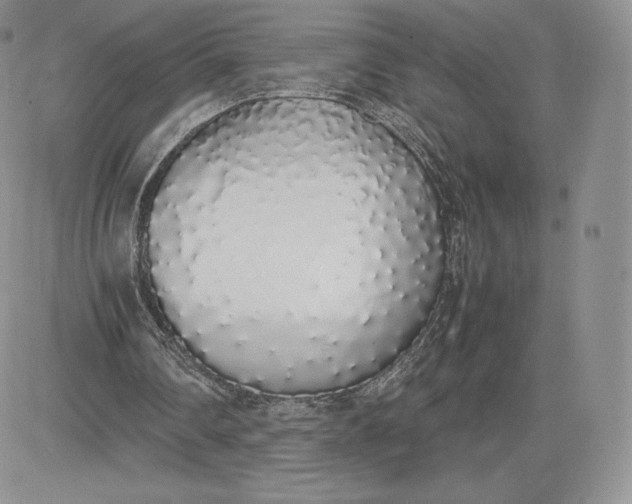 X0000081270290200701251610