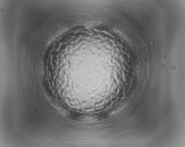 X0000081270303200701251609