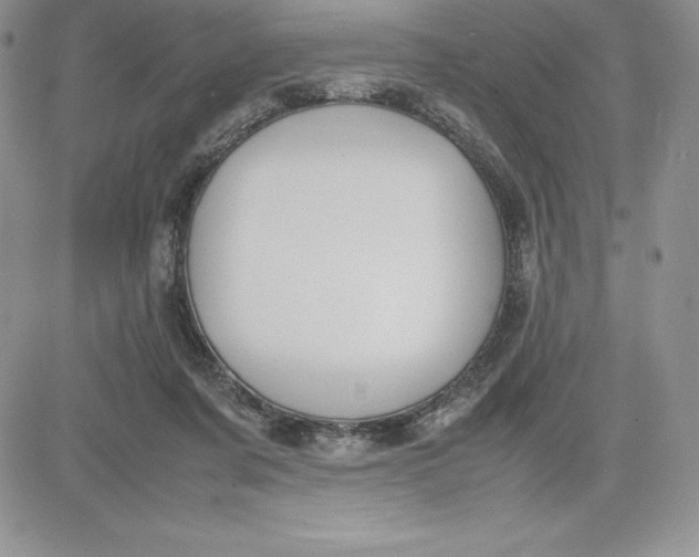 X0000081270311200701251609