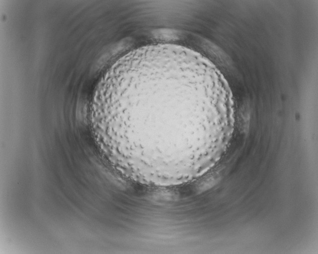 X0000081270330200701251609