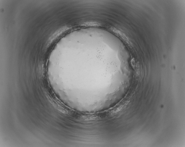 X0000081270351200701251608