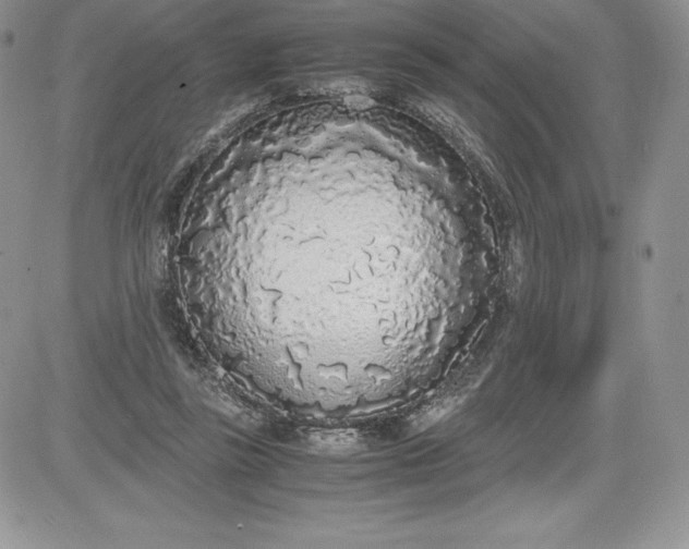 X0000081270355200701251608