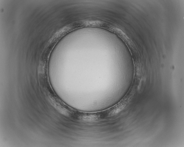 X0000081270357200701251608