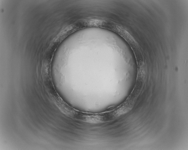 X0000081270363200701251608