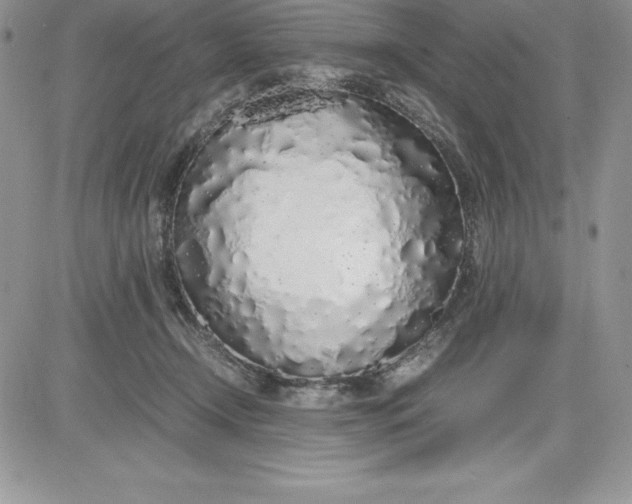X0000081270366200701251608