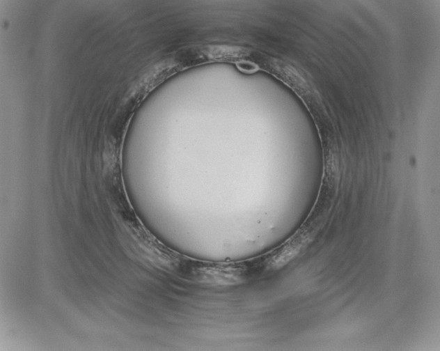 X0000081270367200701251609