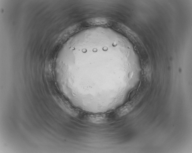 X0000081270373200701251609