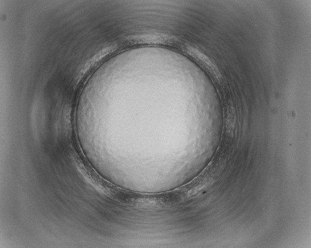 X0000081270394200701251608