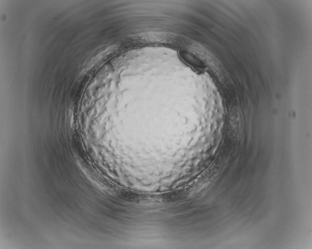 X0000081270398200701251608
