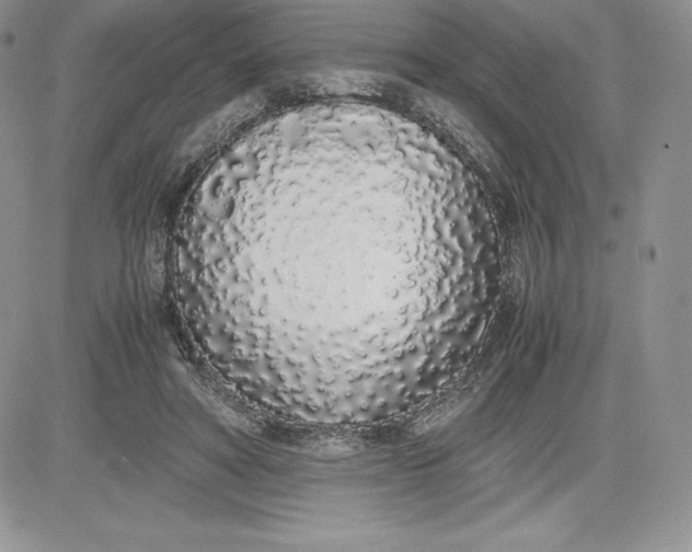 X0000081270402200701251608