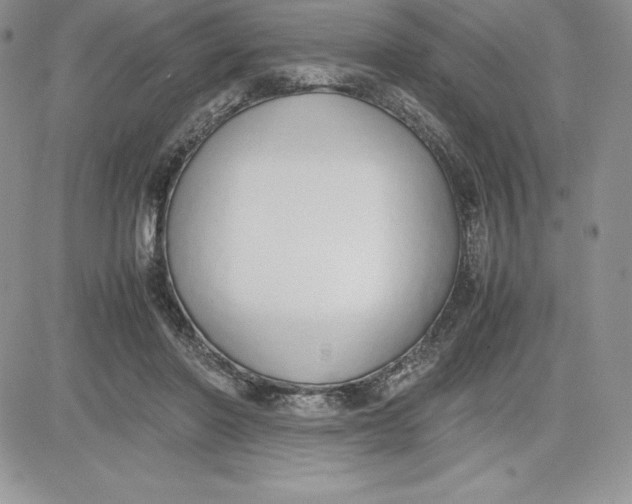 X0000081270406200701251608