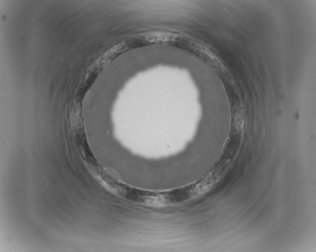 X0000081270411200701251608