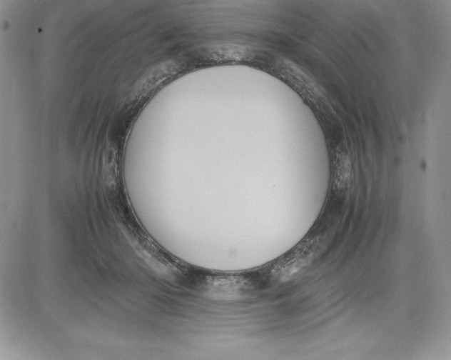 X0000081270414200701251608