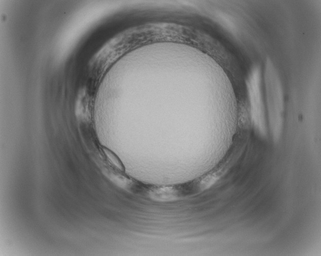 X0000081270431200701251607