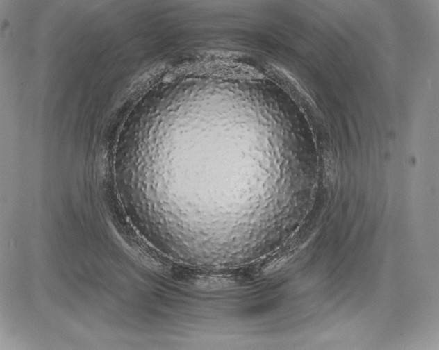 X0000081270451200701251607