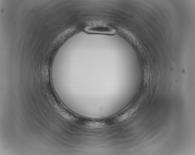 X0000081270453200701251607