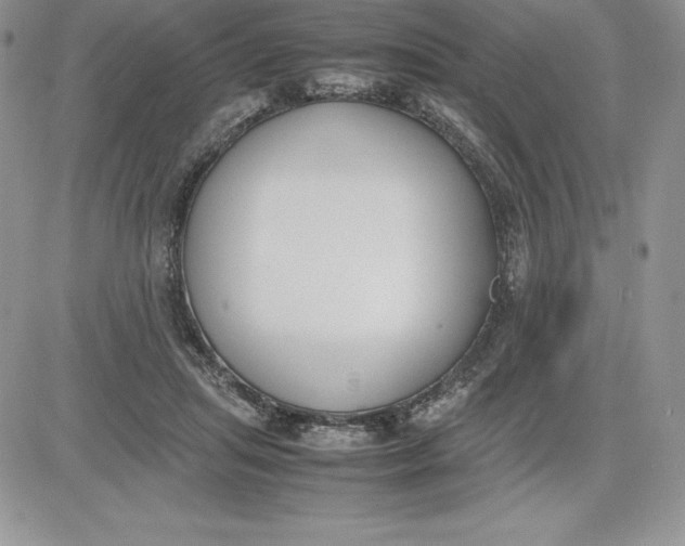 X0000081270455200701251607